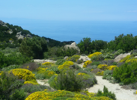 ElbaTrail: avventura sull’isola d’Elba