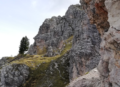 Piz da Peres, escursione ad anello nel Parco Naturale Fanes-Senes-Braies, dal passo Furcia