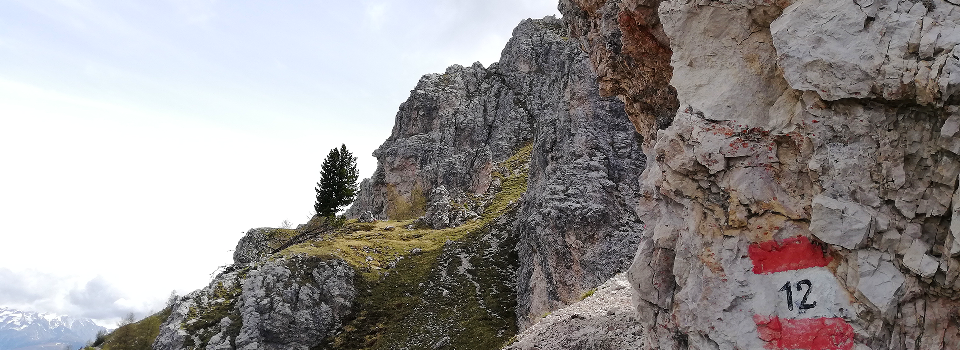 Piz da Peres, escursione ad anello nel Parco Naturale Fanes-Senes-Braies, dal passo Furcia